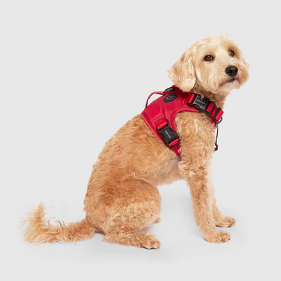 Dog Harnesses