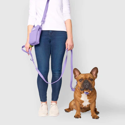 Collars & Leashes