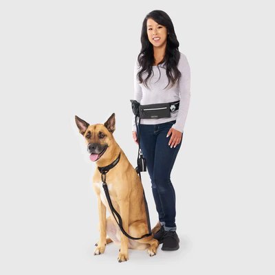 Hands-Free Dog Walking