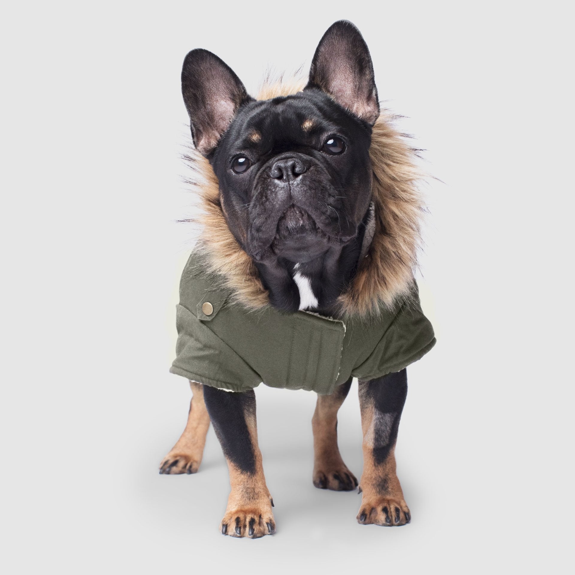 Alaskan Army Parka X2