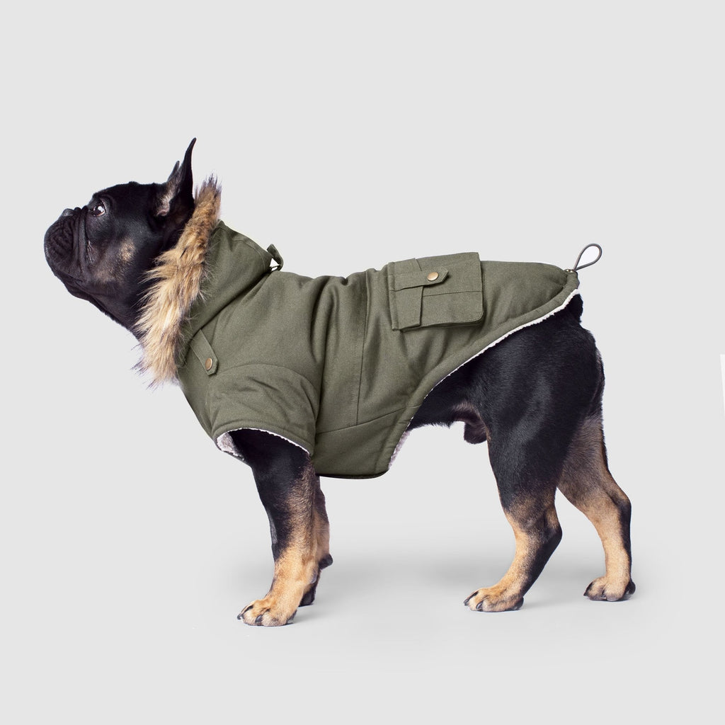 Alaskan Army Parka X2