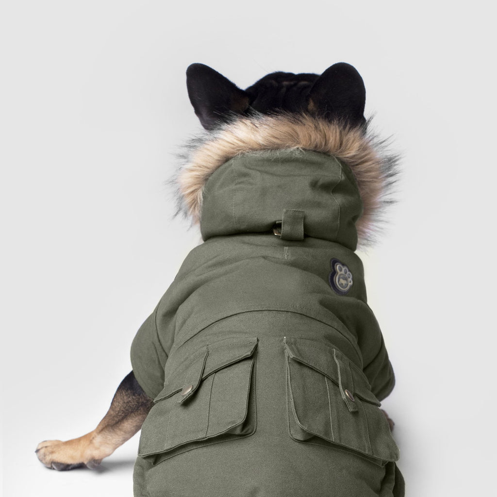 Alaskan Army Parka X2