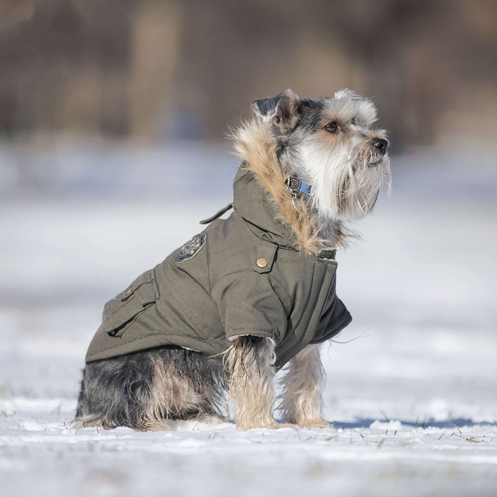 Alaskan Army Parka X2