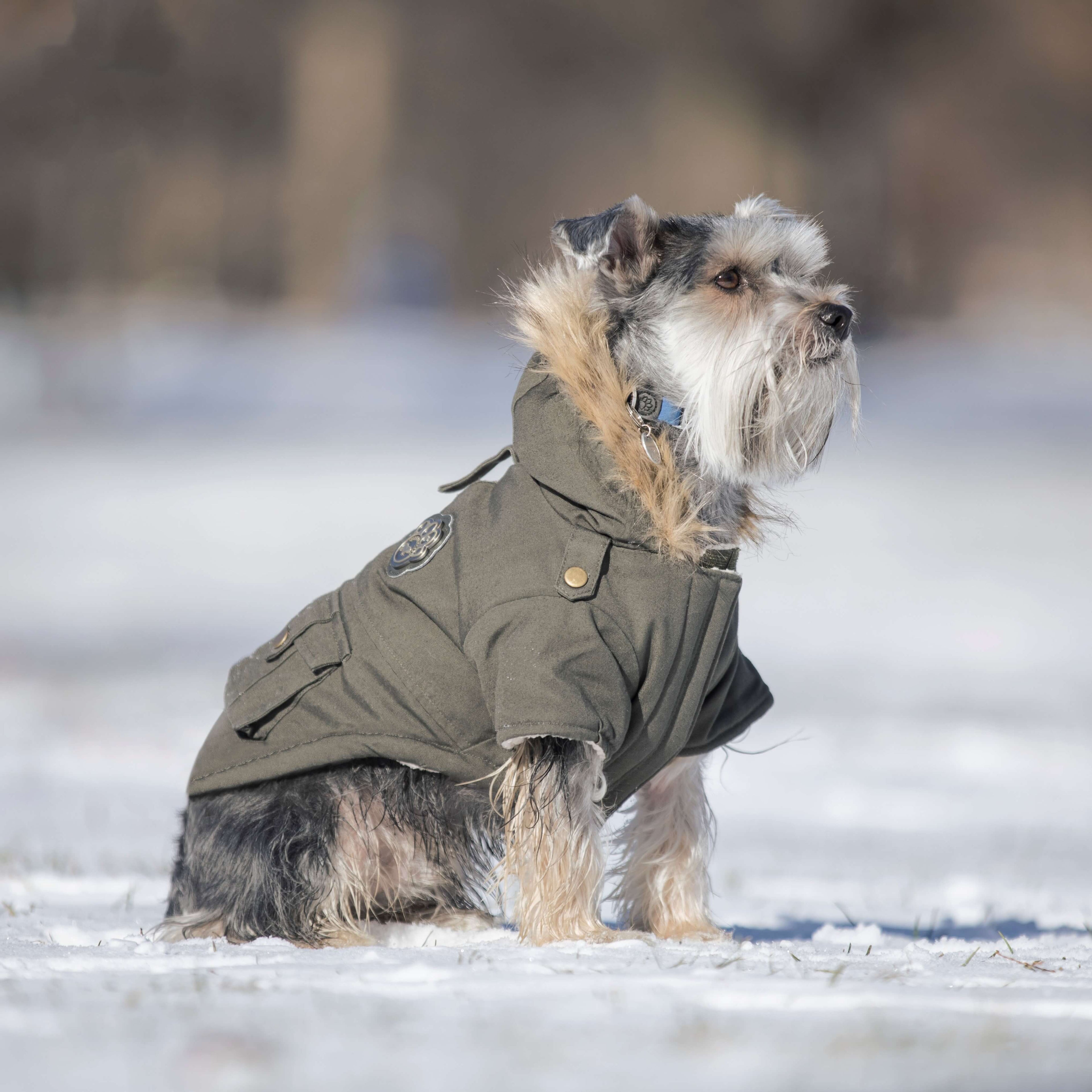 Alaskan Army Parka X2