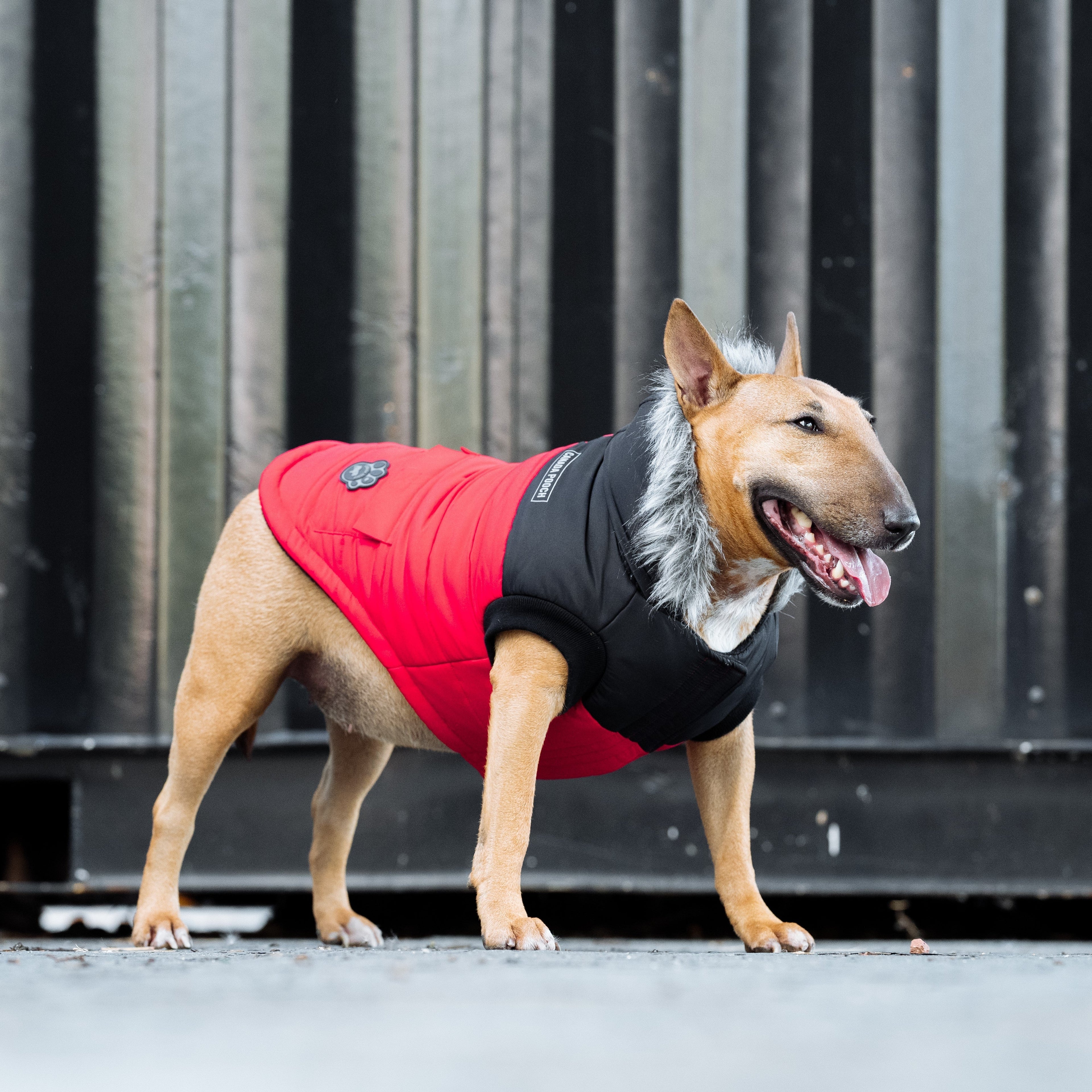 True North Parka C8