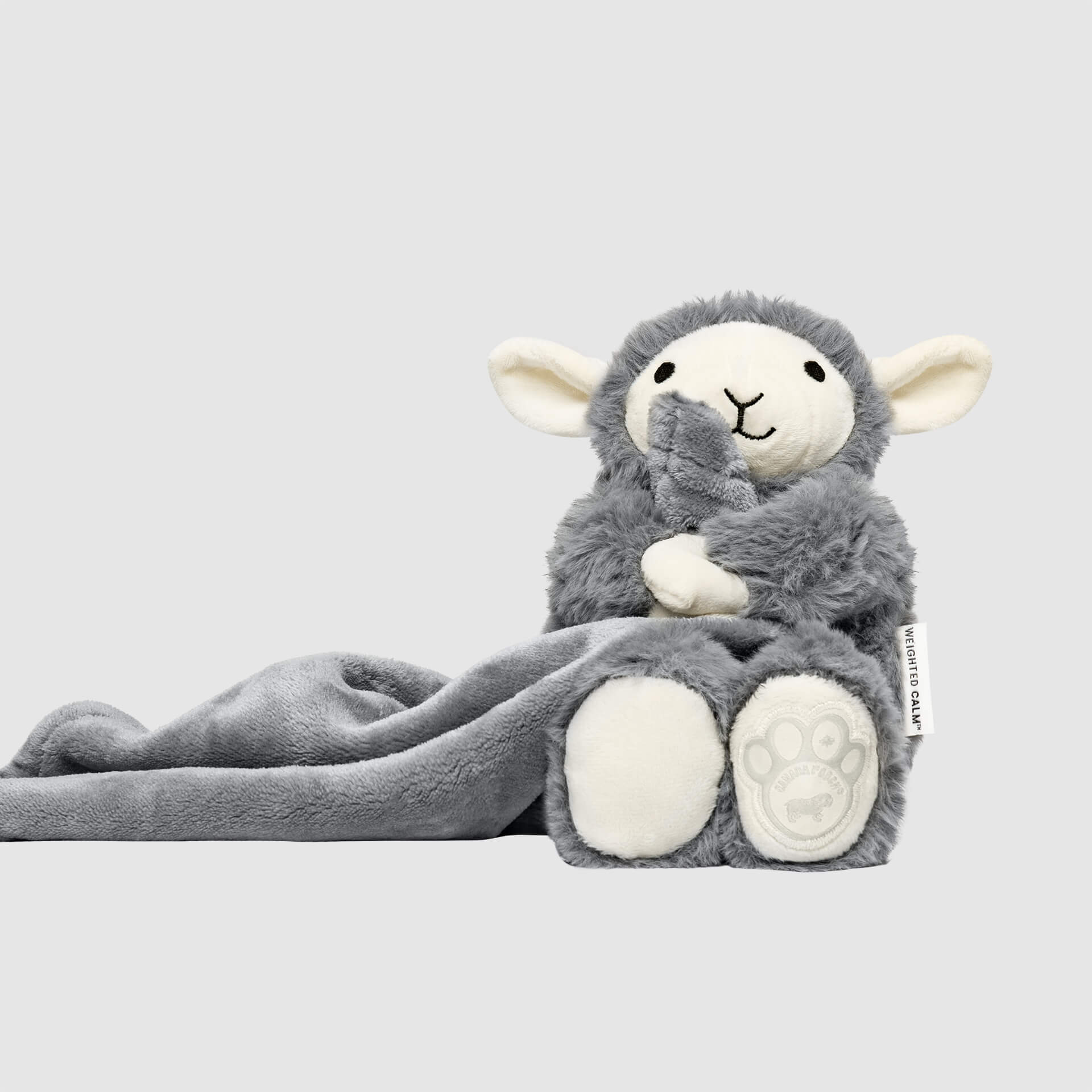 Weighted Calming Toy F5