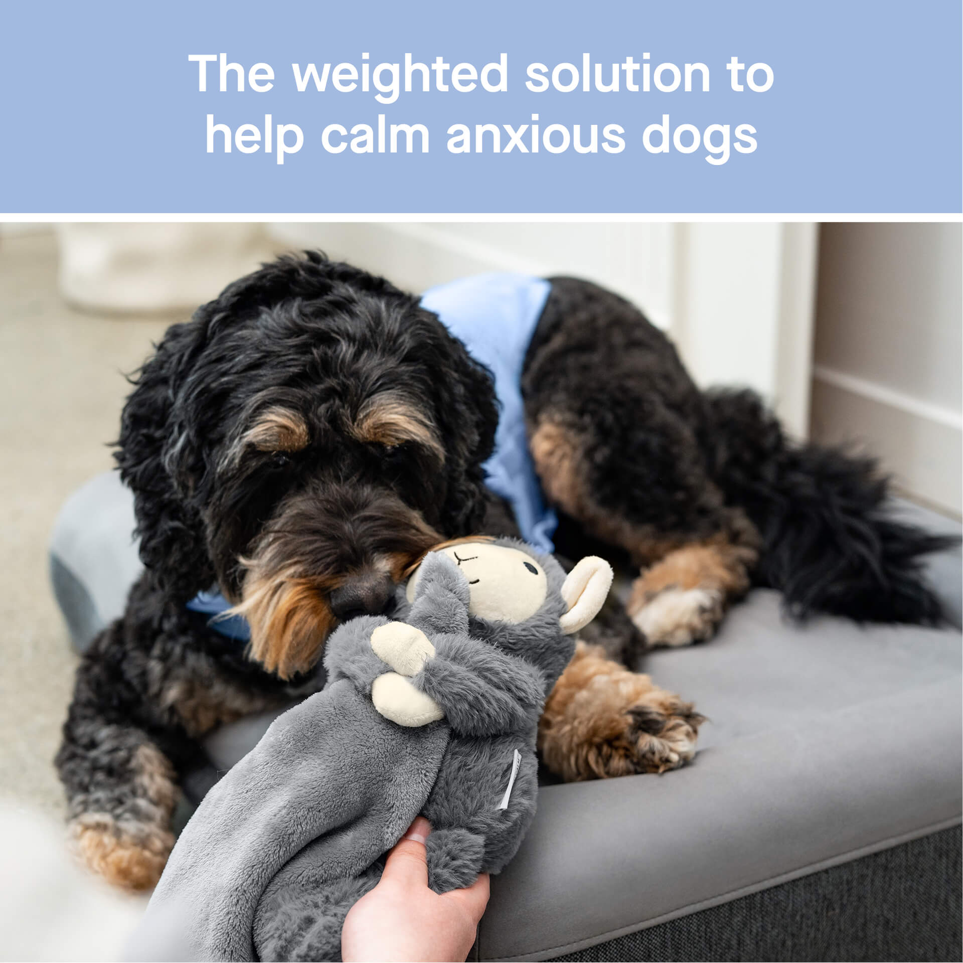 Weighted Calming Toy F5