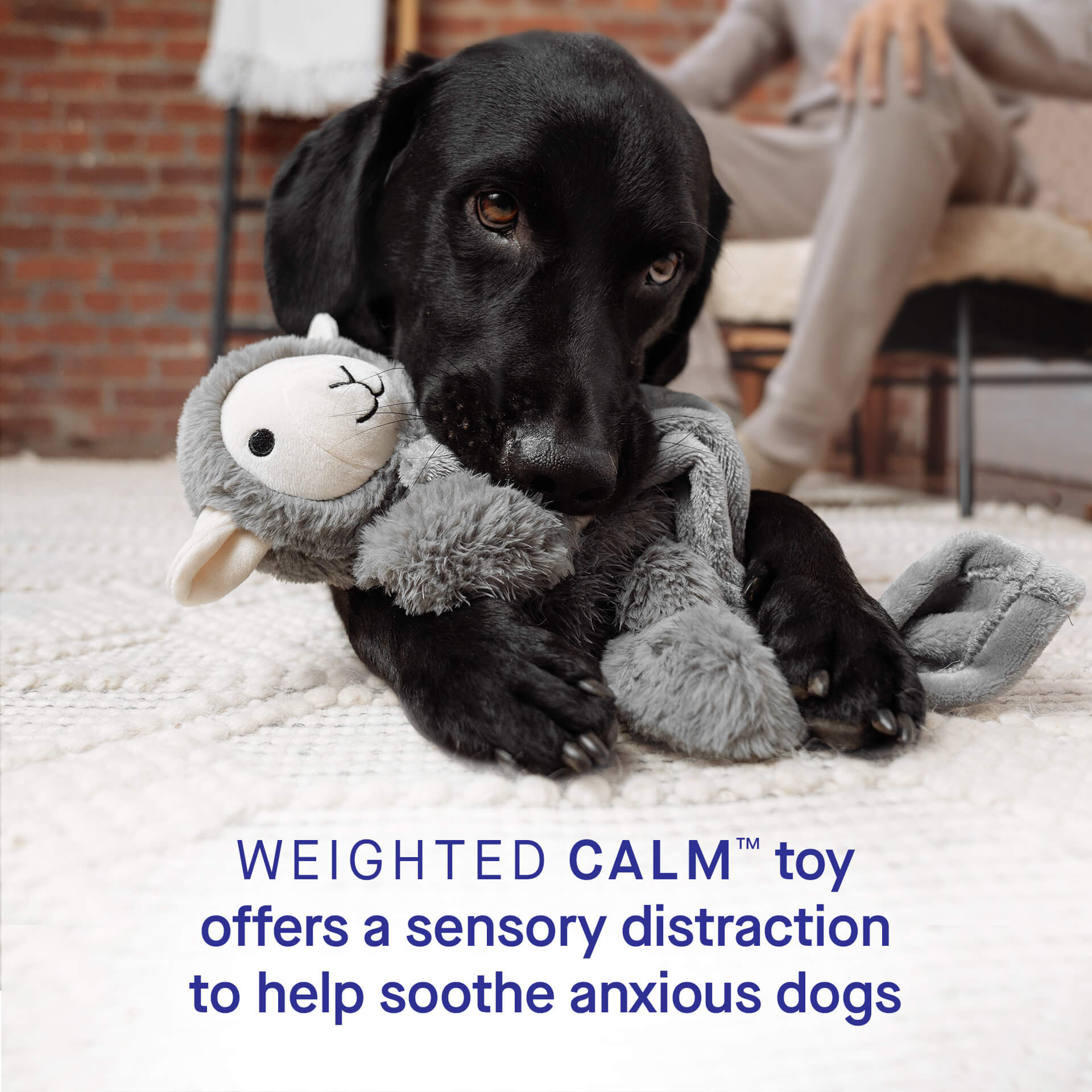 Weighted Calming Toy F5