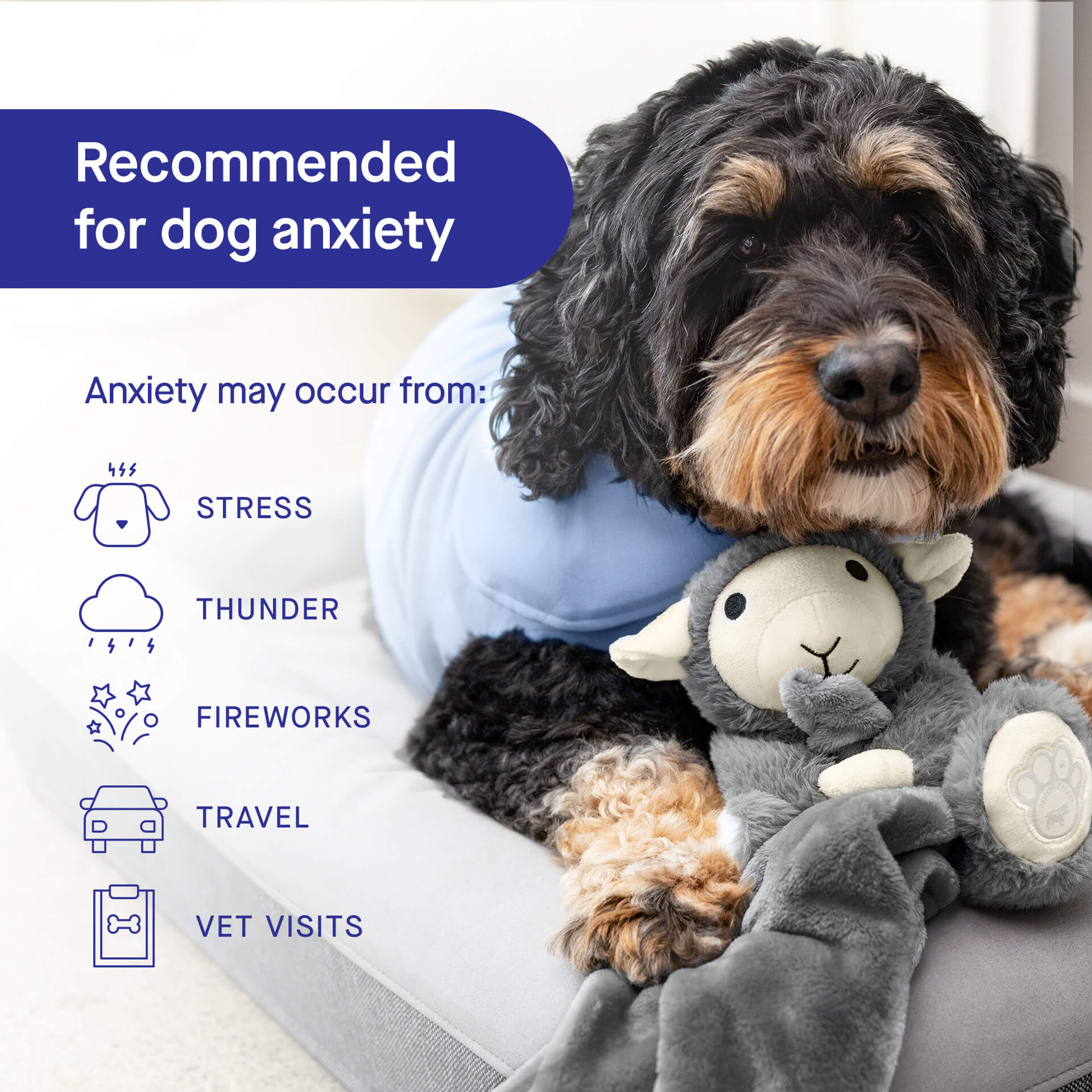 Weighted Calming Toy F5