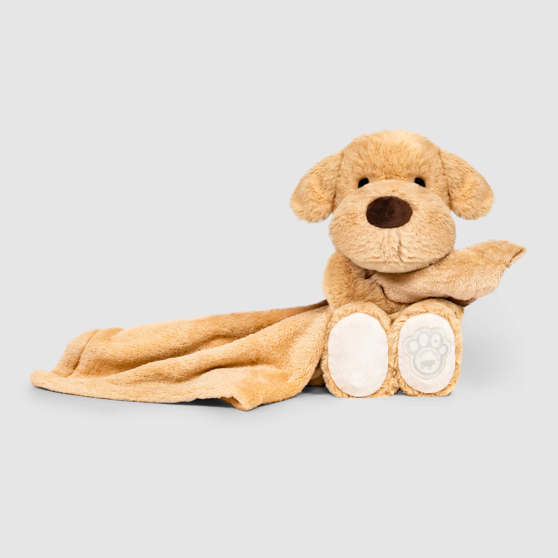 Weighted Calming Toy F5
