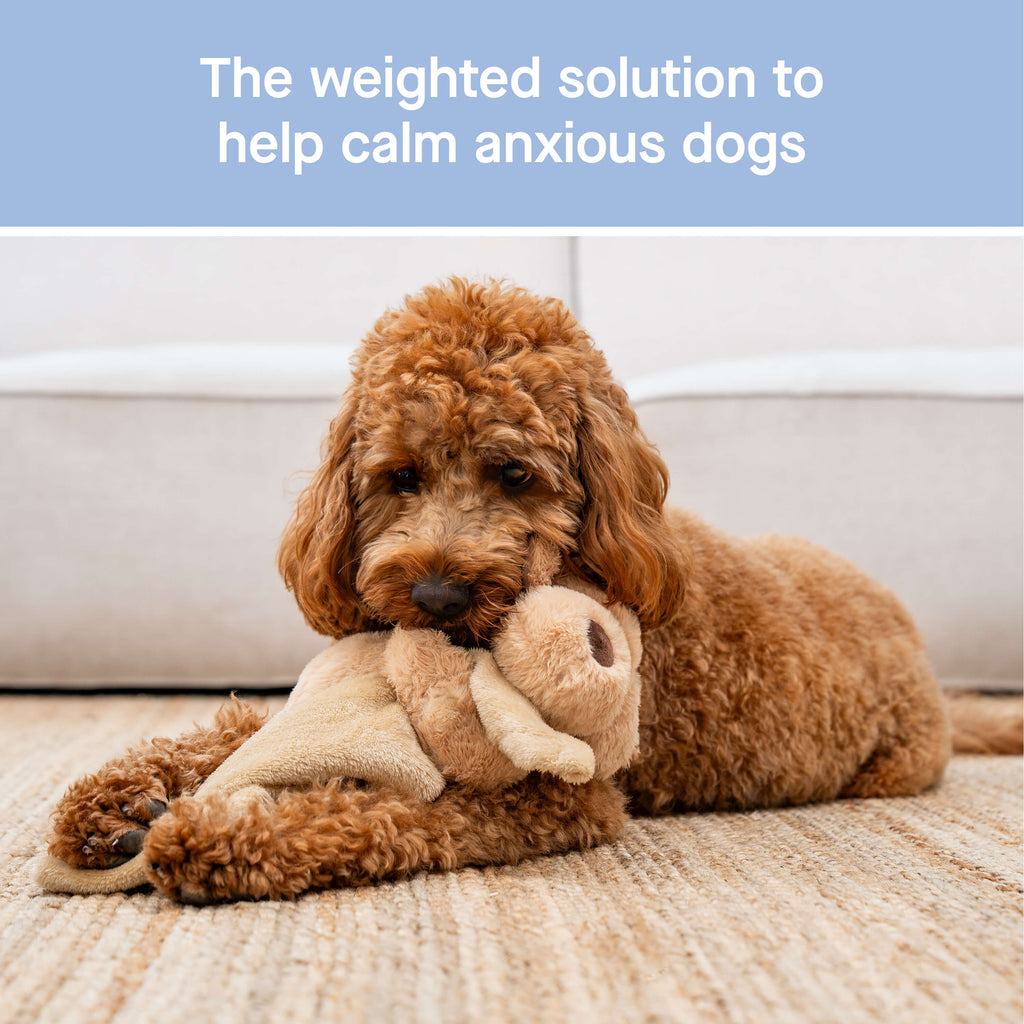Weighted Calming Toy F5