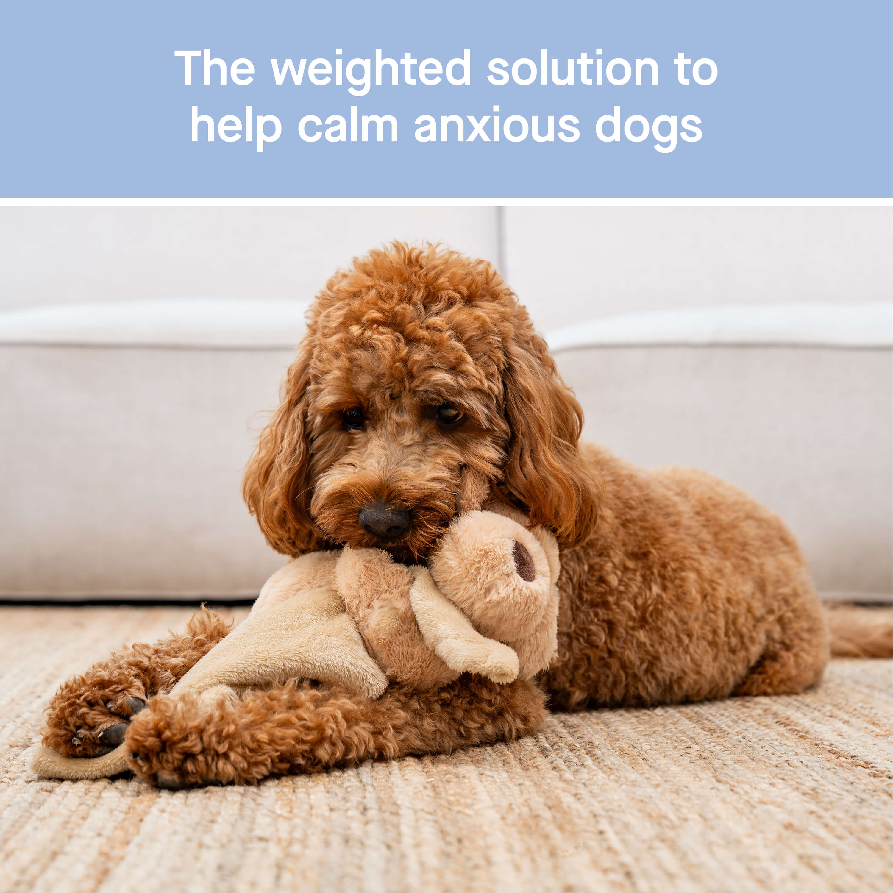 Weighted Calming Toy F5