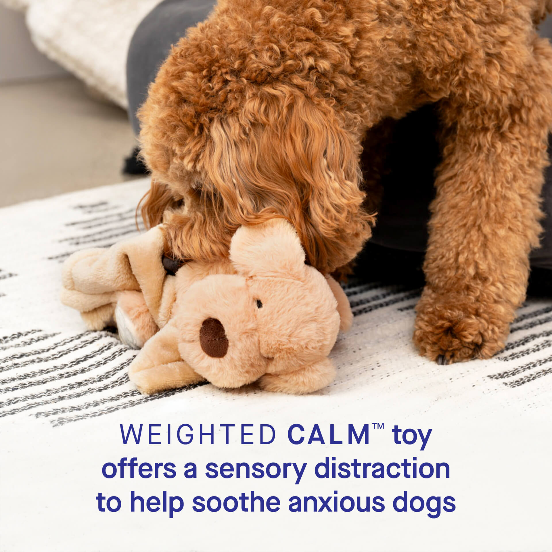 Weighted Calming Toy F5
