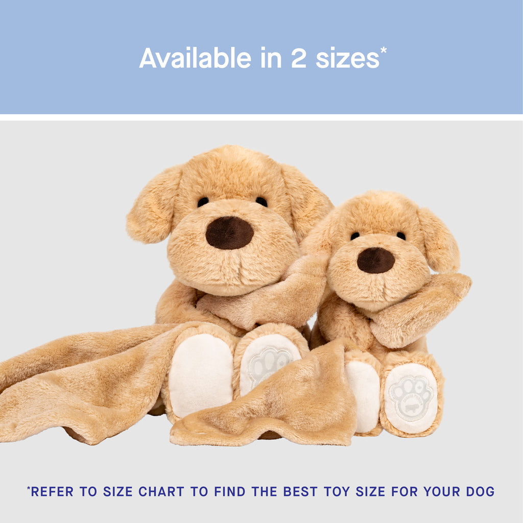 Weighted Calming Toy F5