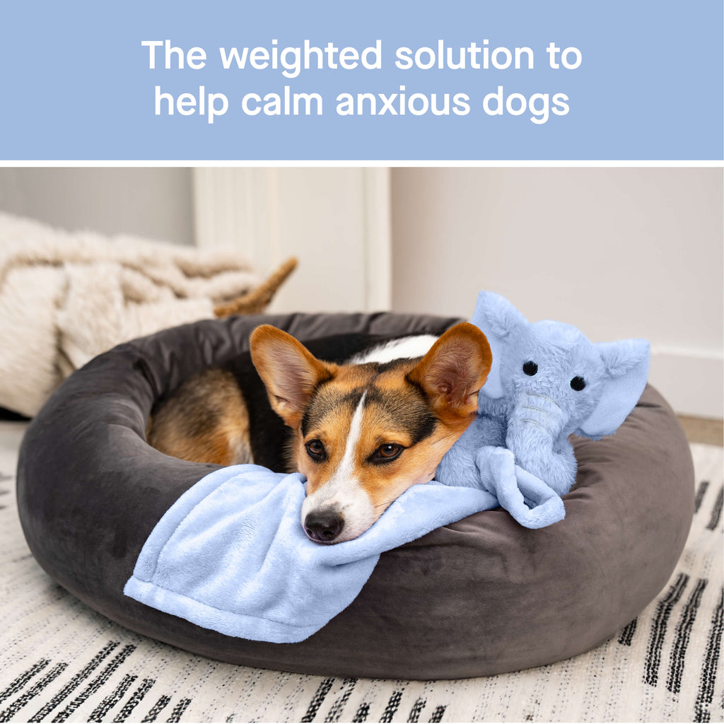 Weighted Calming Toy F5