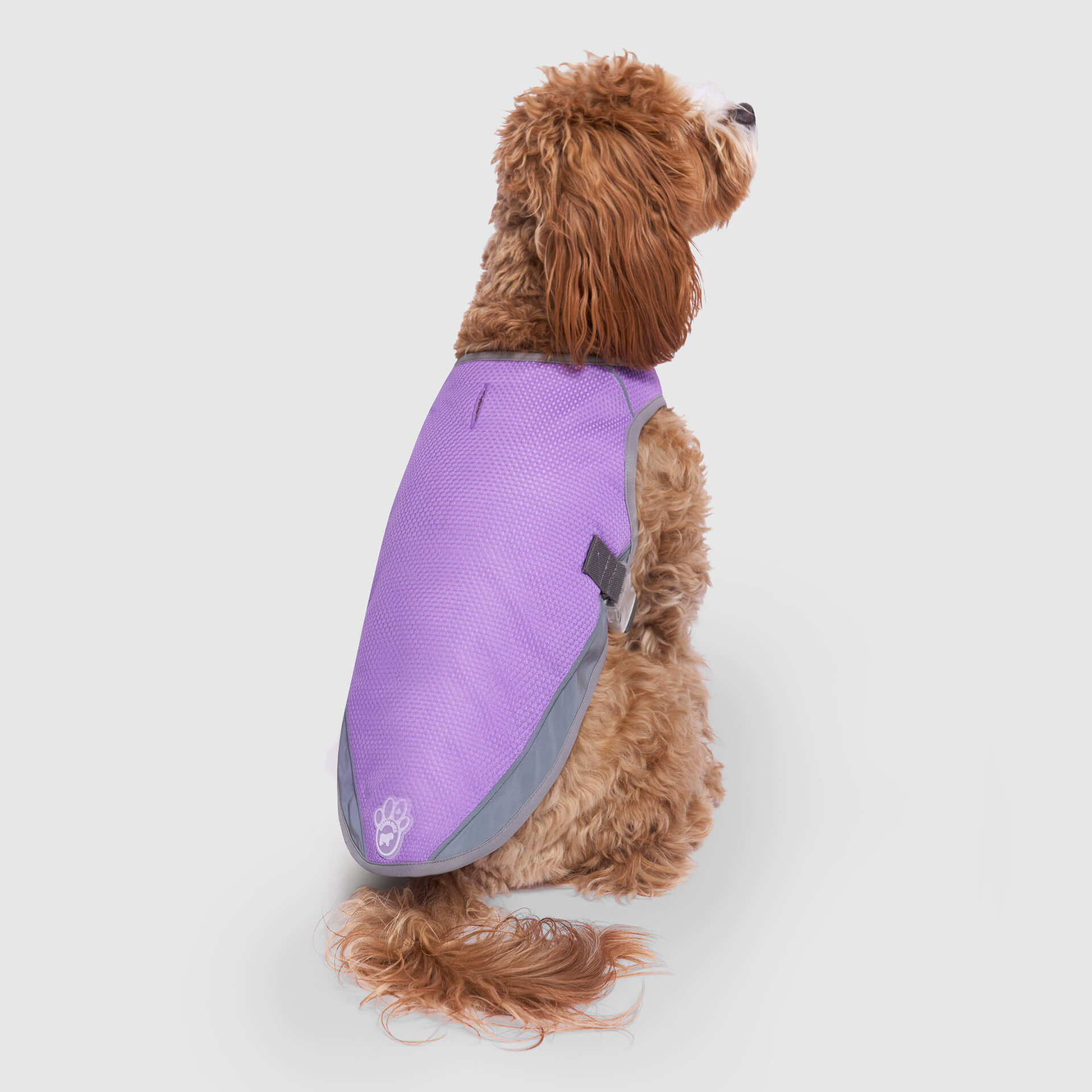 Chill Seeker Cooling Vest Wet Reveal A8
