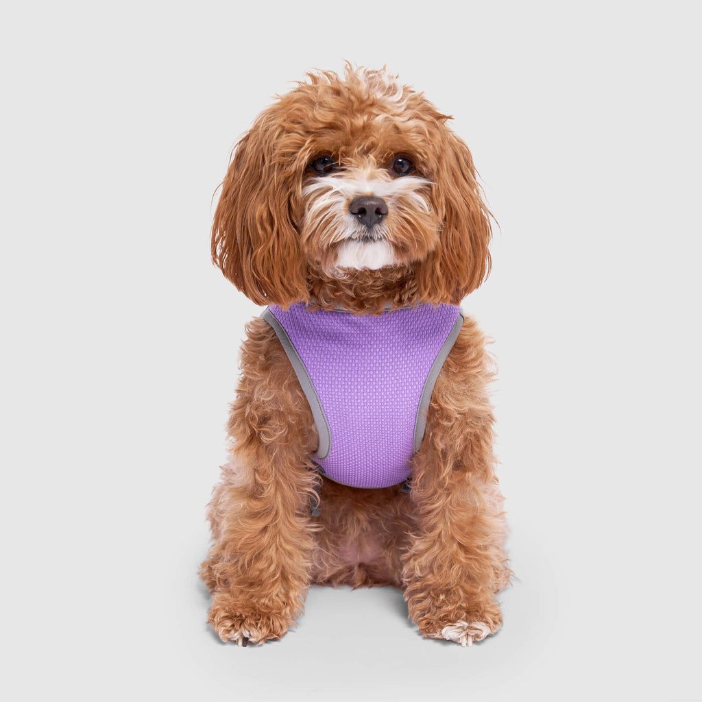 Chill Seeker Cooling Vest Wet Reveal A8