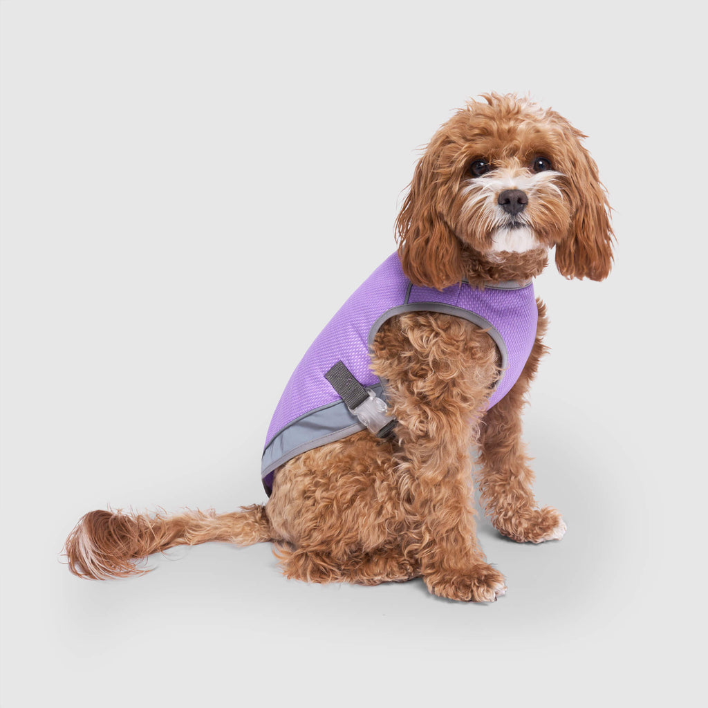 Chill Seeker Cooling Vest Wet Reveal A8