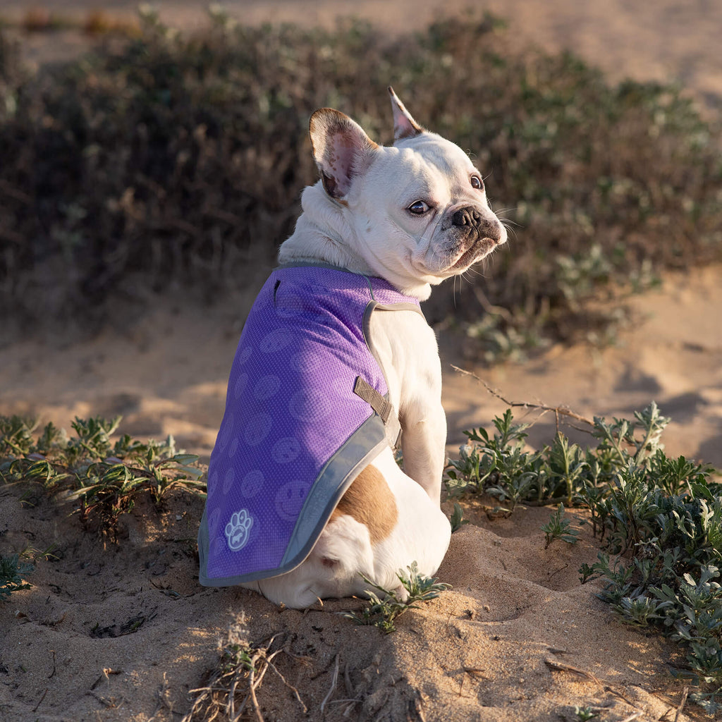 Chill Seeker Cooling Vest Wet Reveal A8