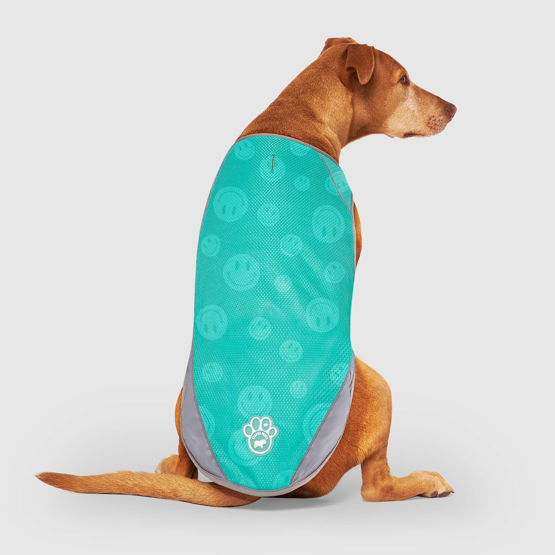 Chill Seeker Cooling Vest Wet Reveal A8
