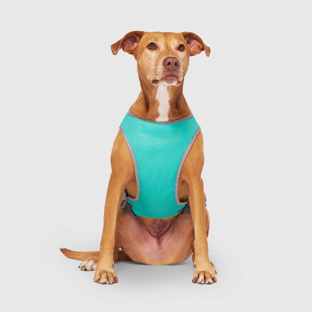 Chill Seeker Cooling Vest Wet Reveal A8