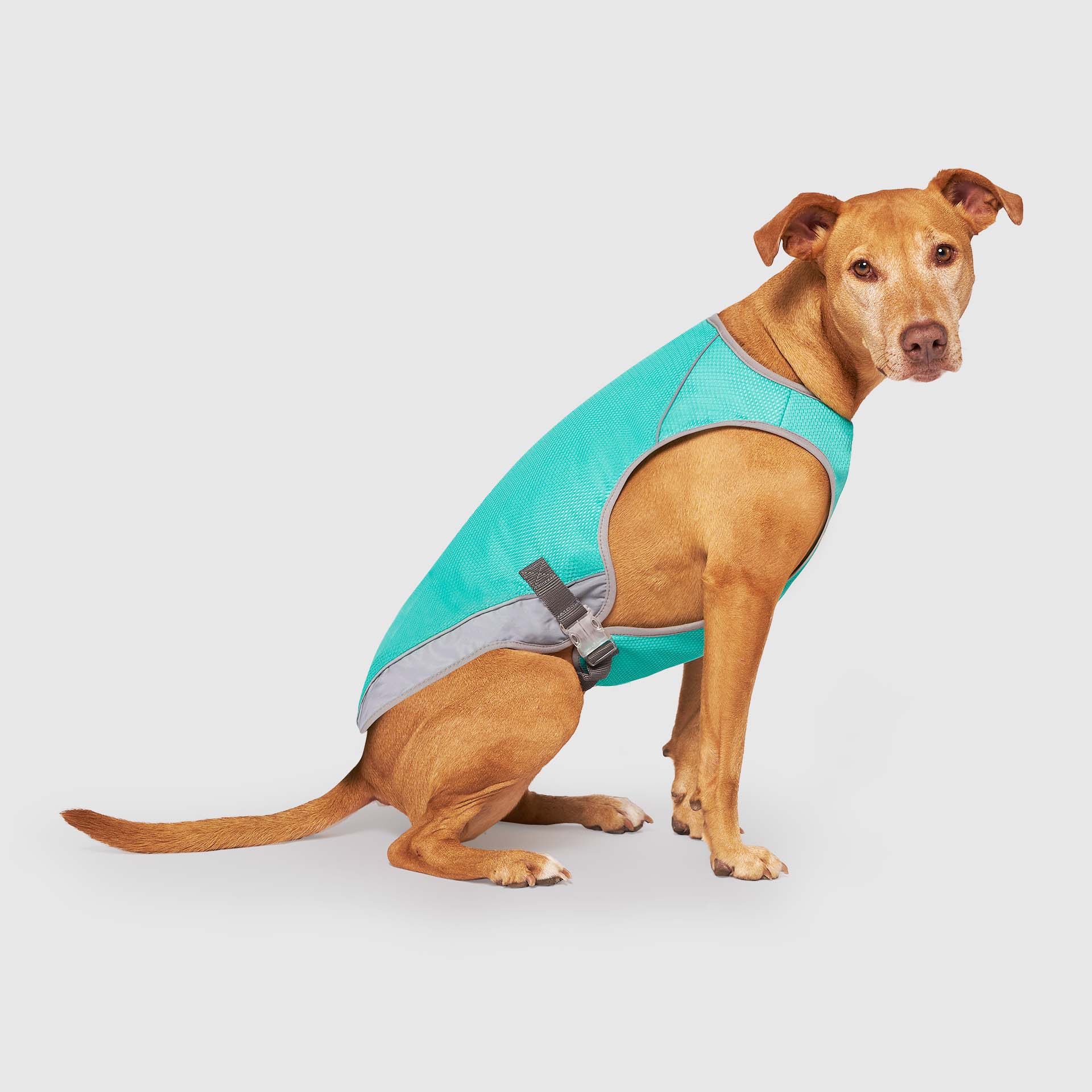 Chill Seeker Cooling Vest Wet Reveal A8