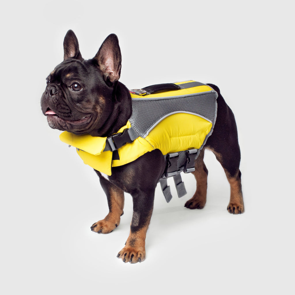 Wave Rider Life Jacket A0