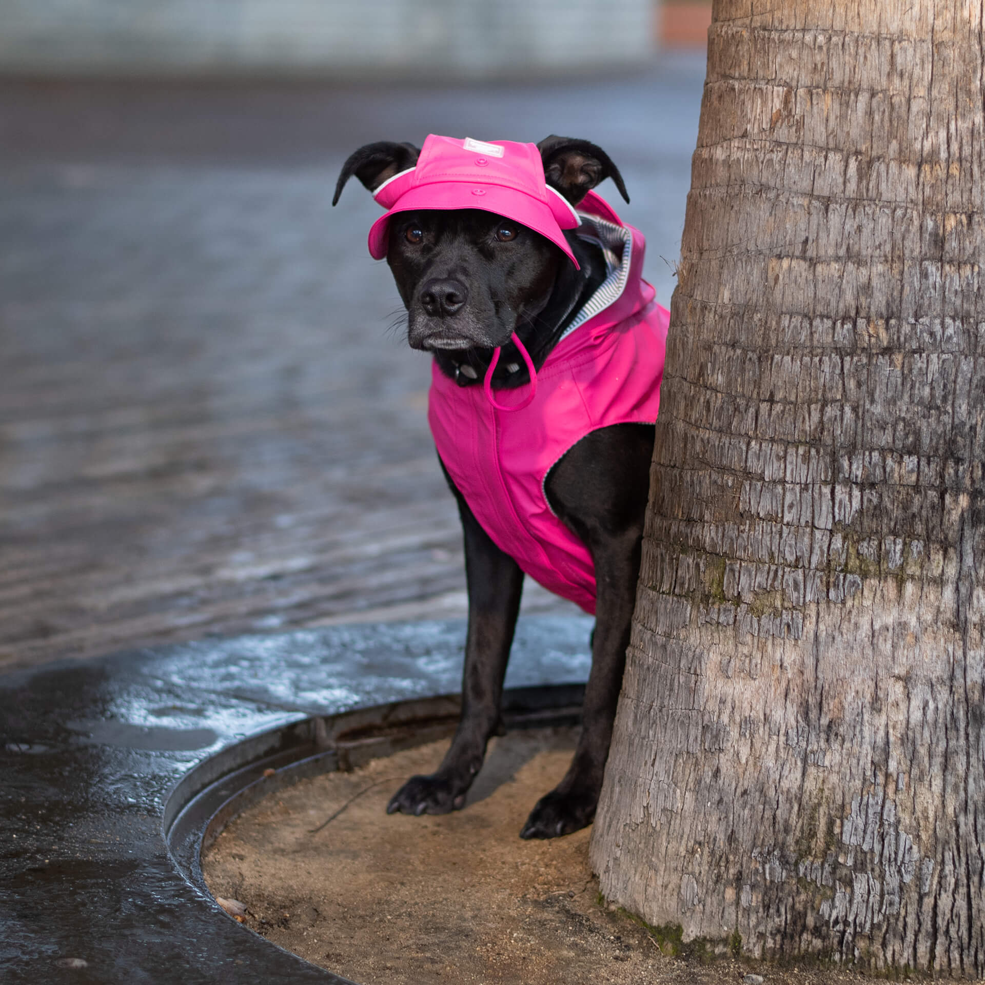 Torrential Tracker Rain Hat I0