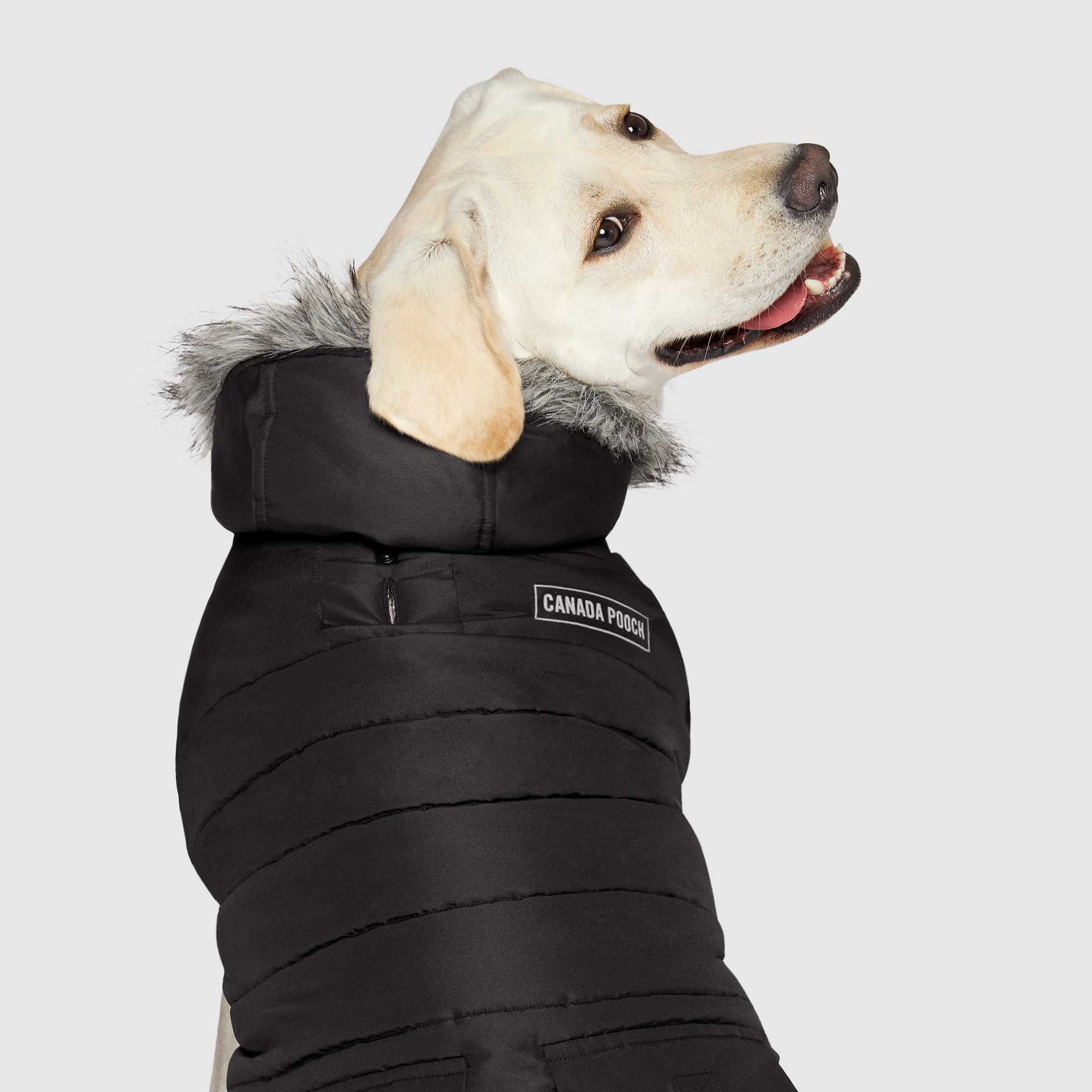 True North Parka C8