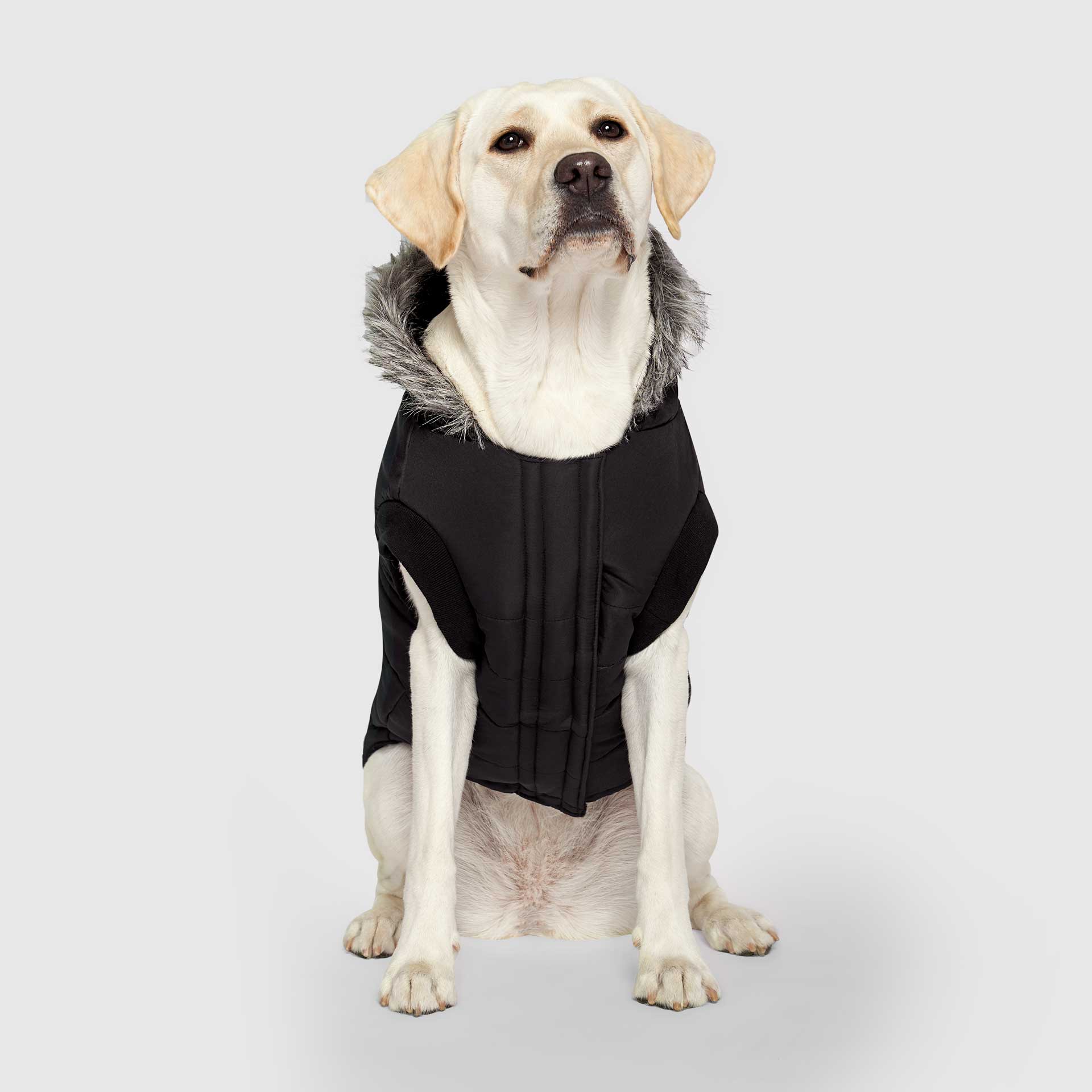 True North Parka C8