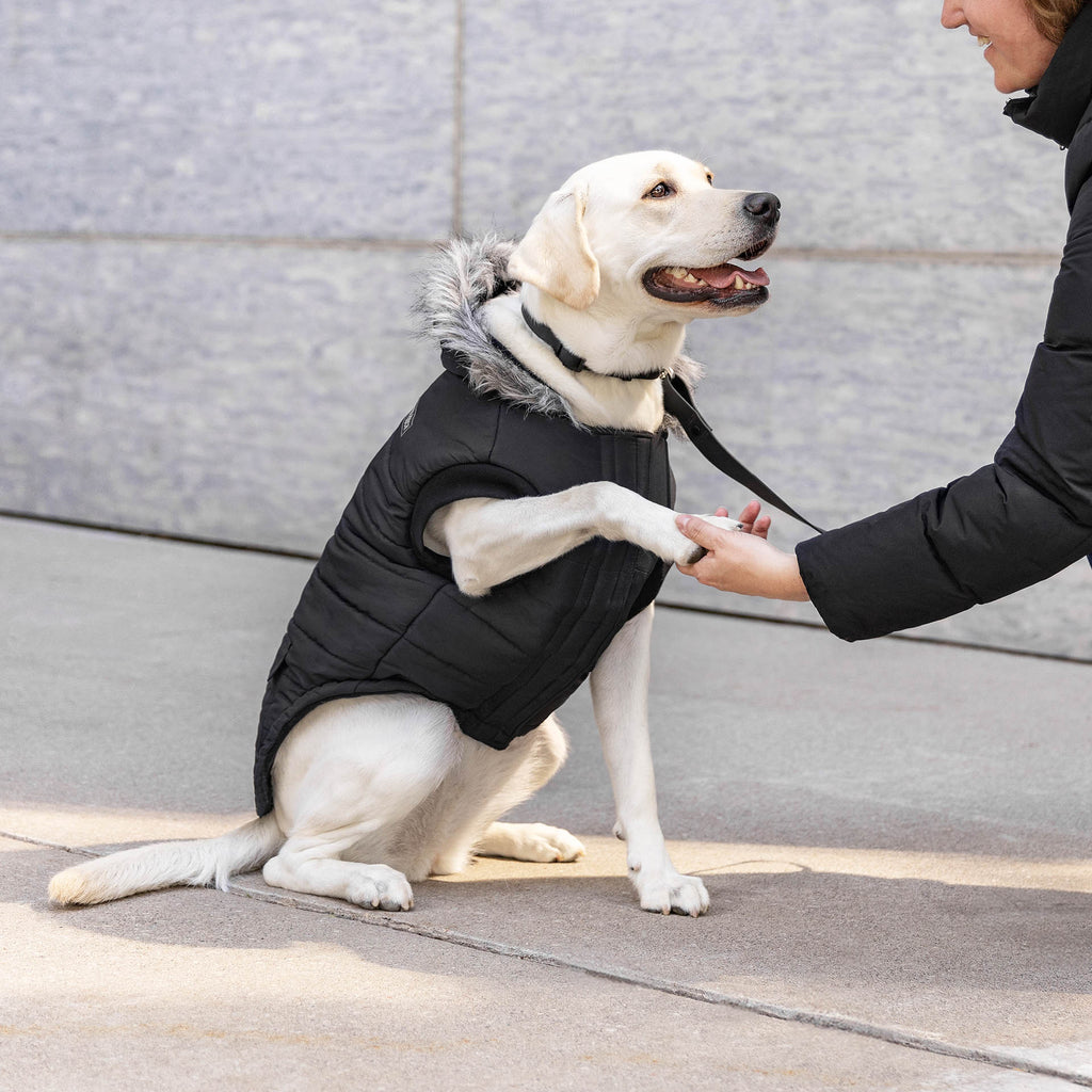 True North Parka C8