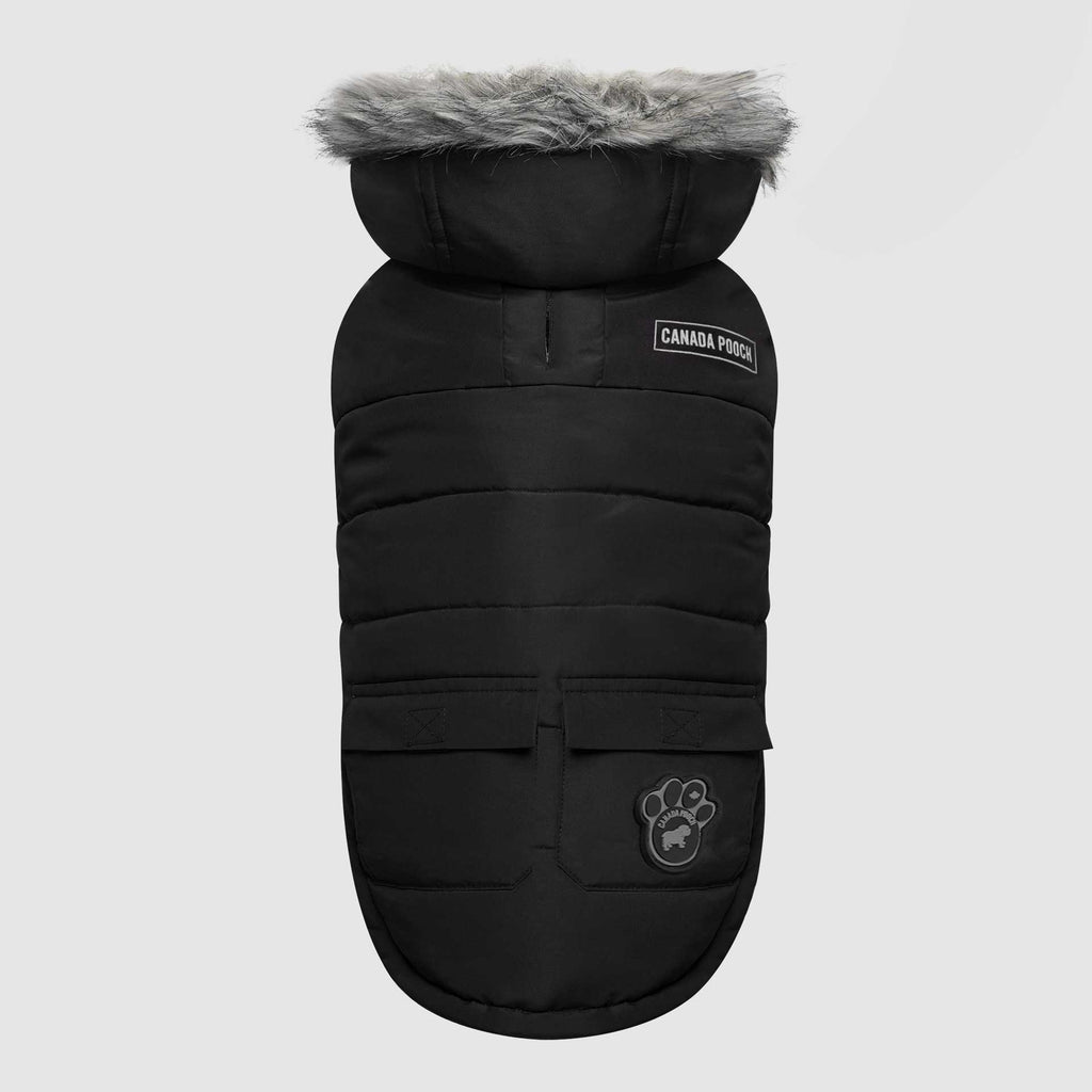 True North Parka C8