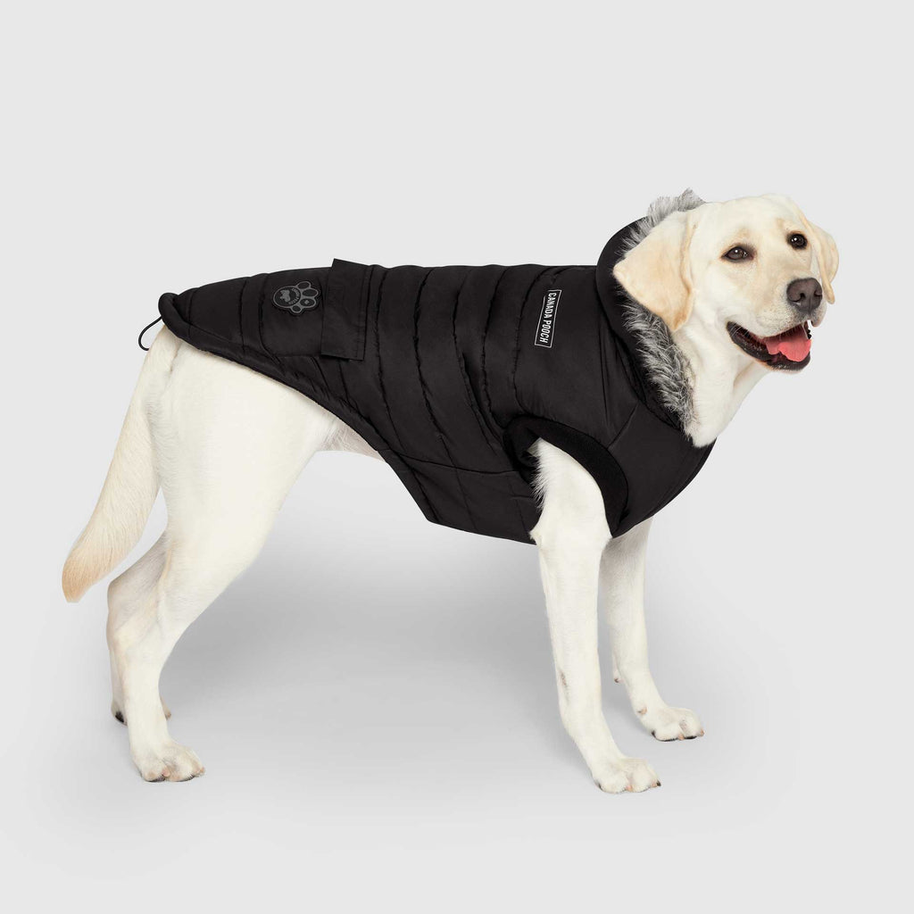 True North Parka C8