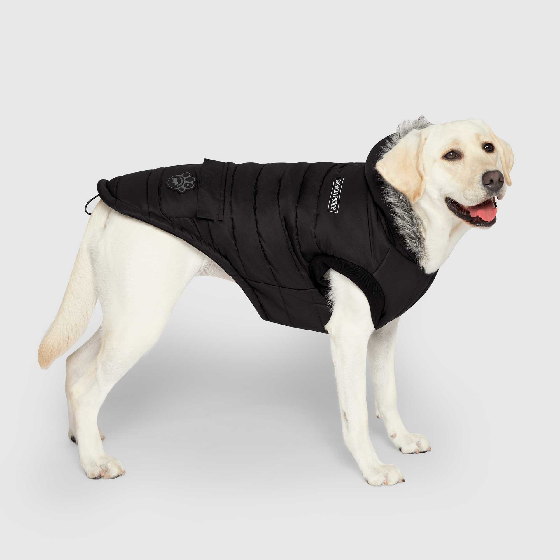 True North Parka C8