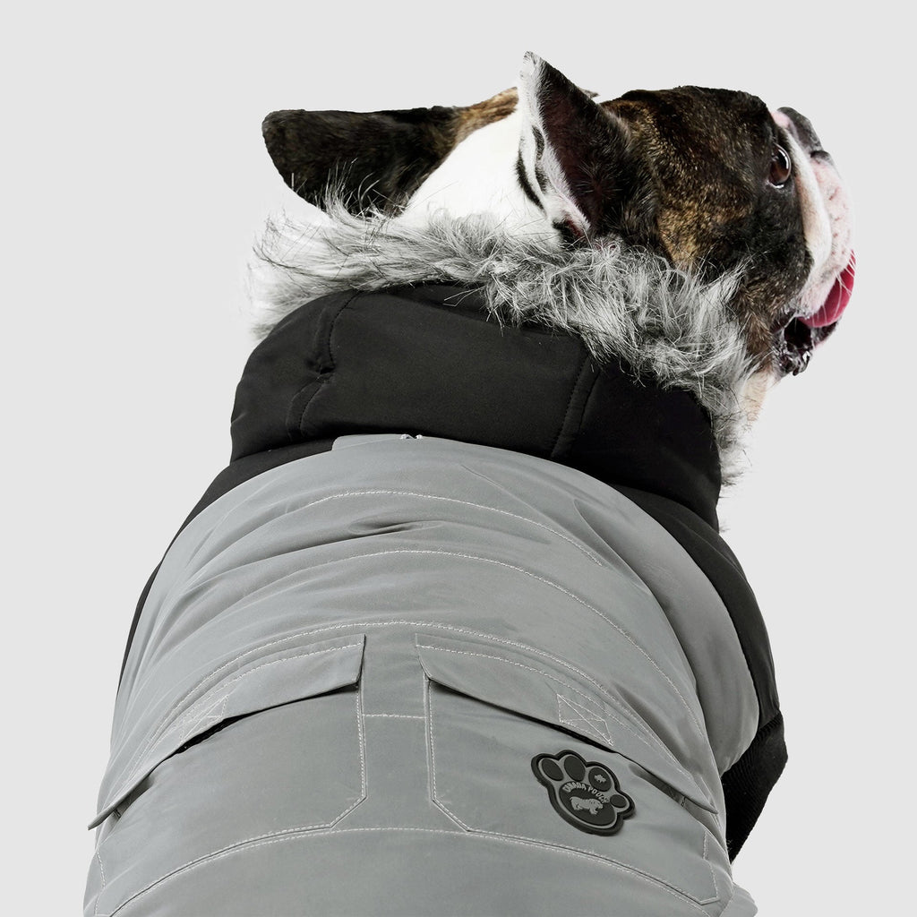 True North Parka C8