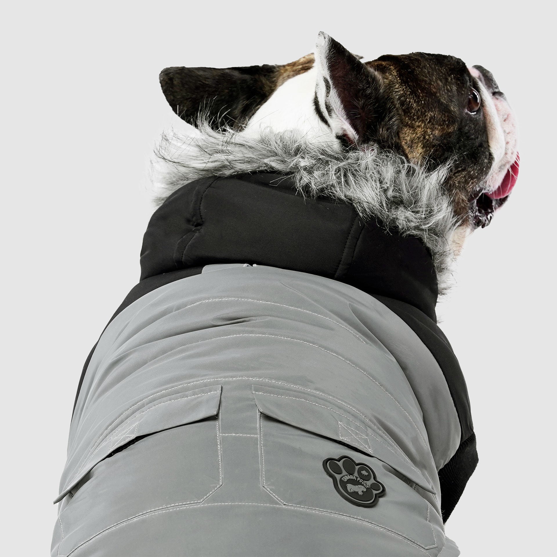 True North Parka C8