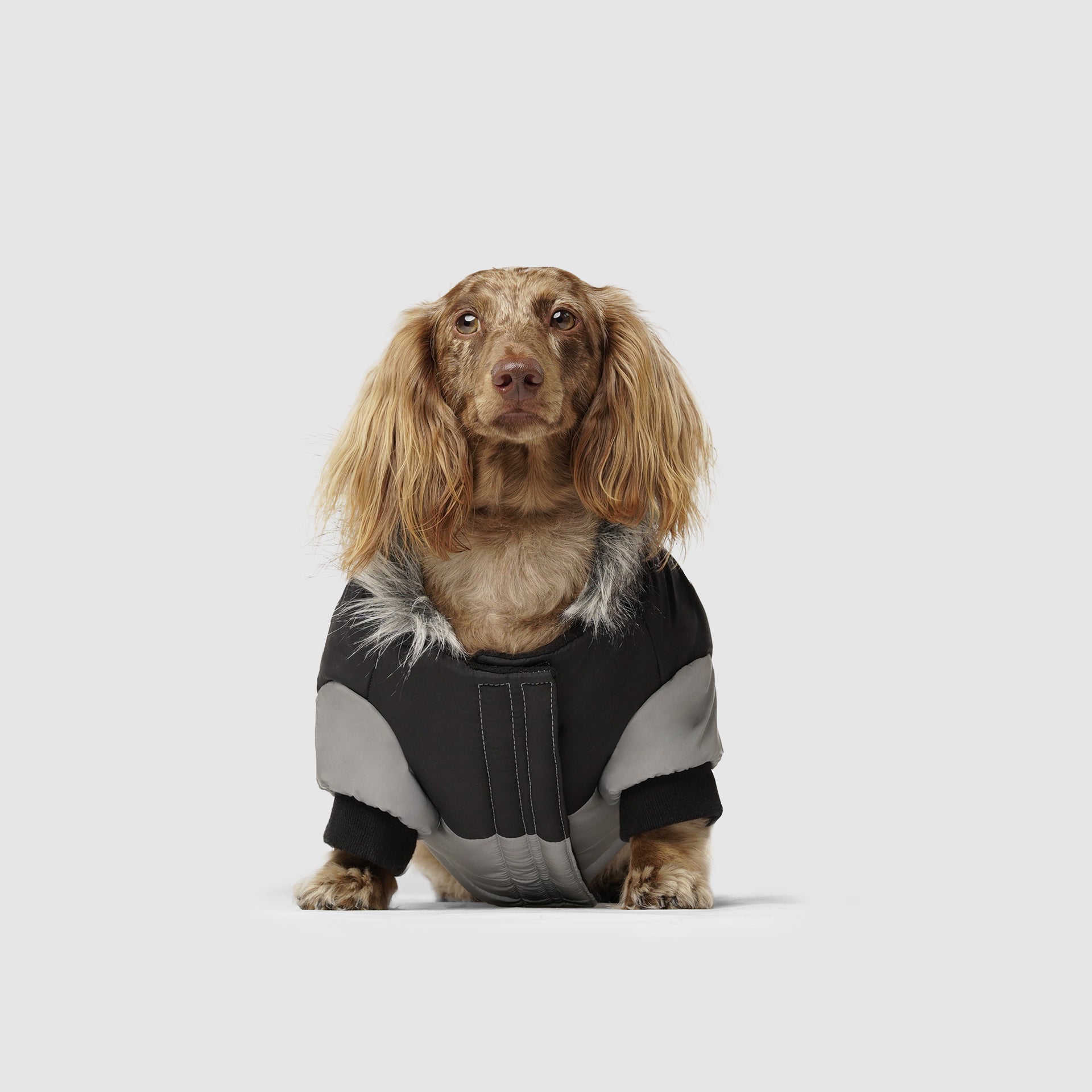 True North Parka C8