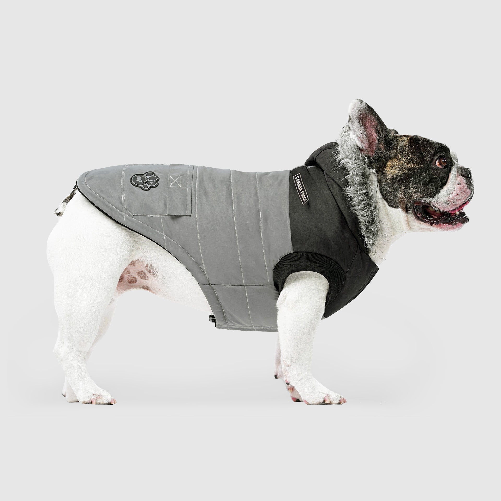 True North Parka C8