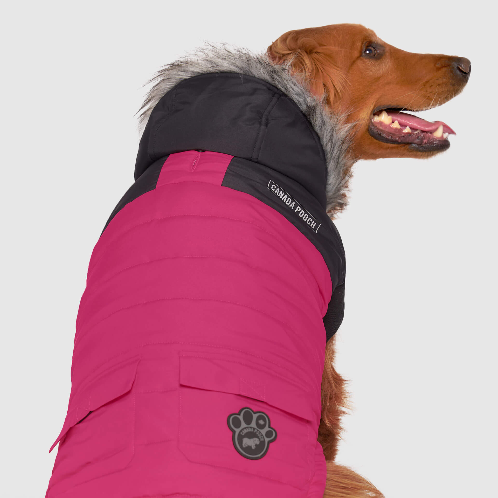 True North Parka C8