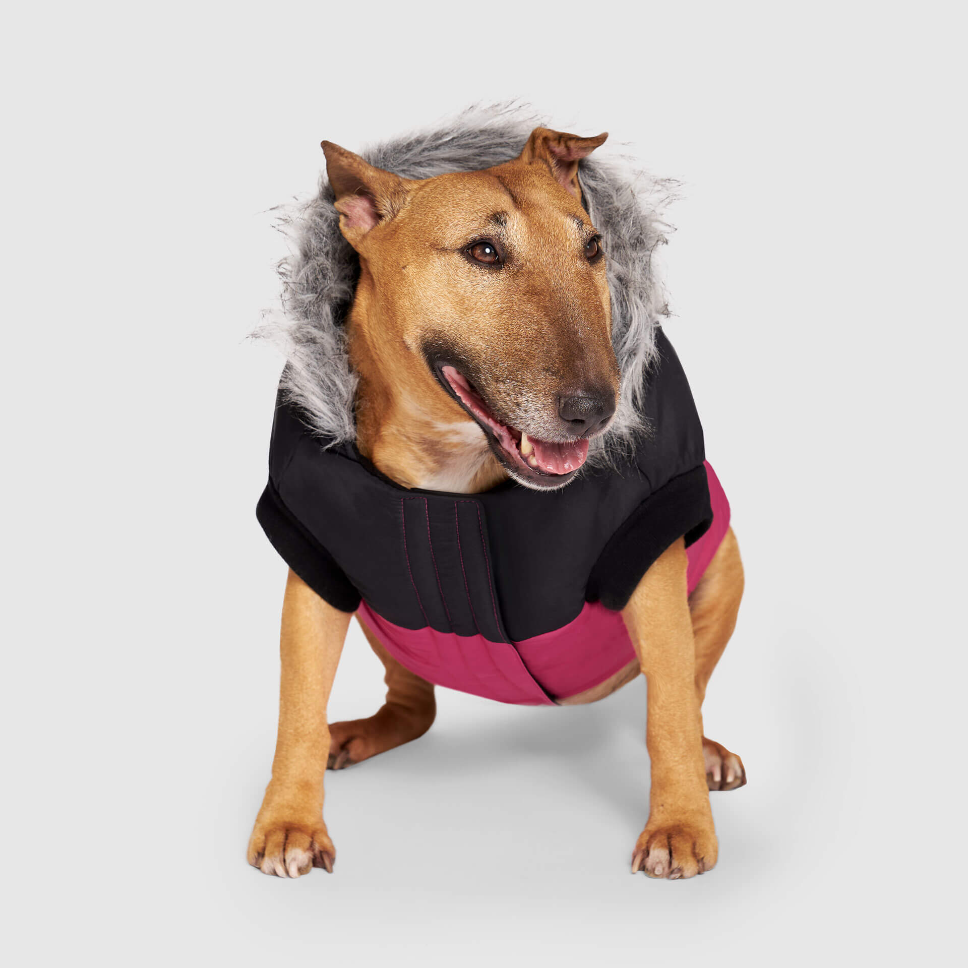 True North Parka C8
