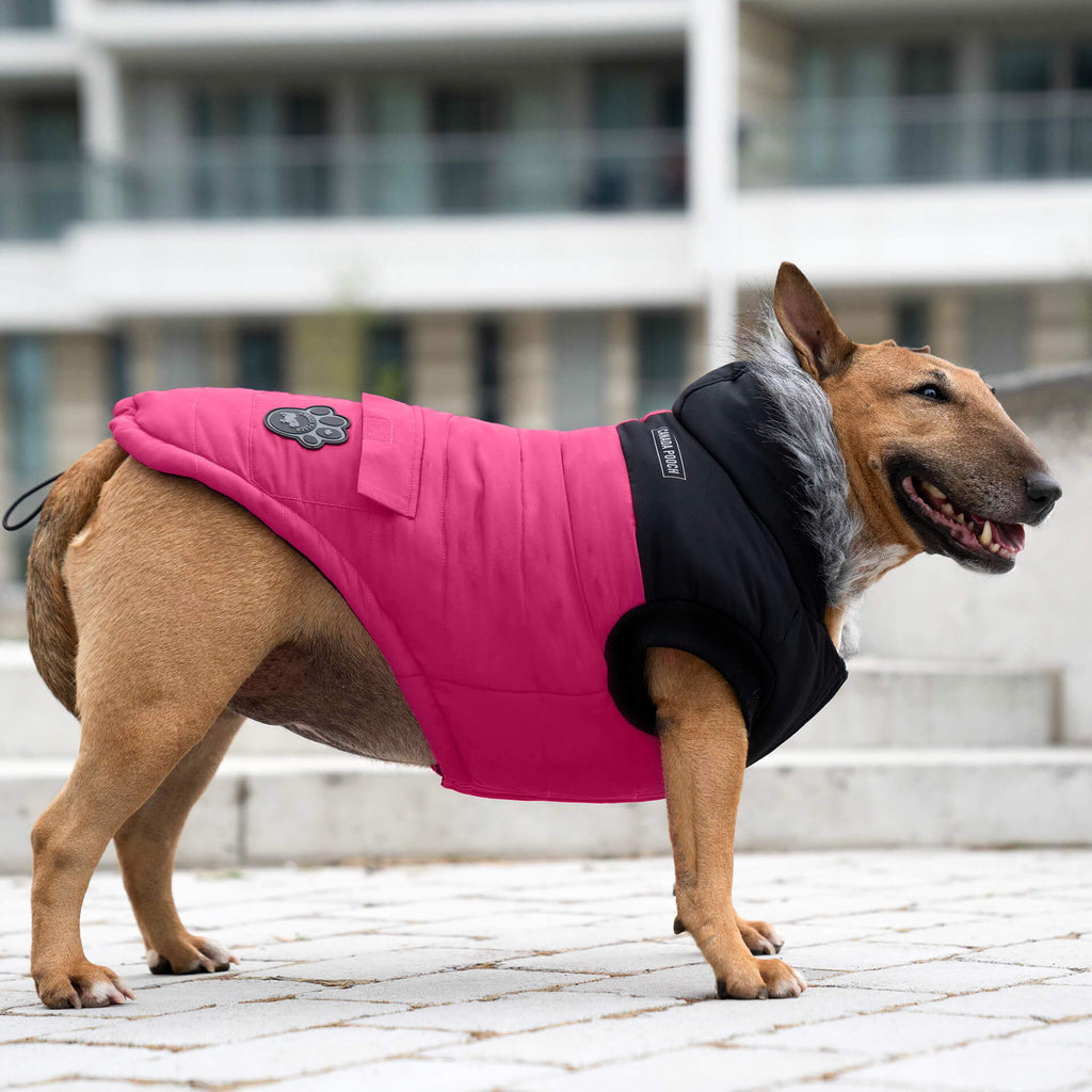 True North Parka C8