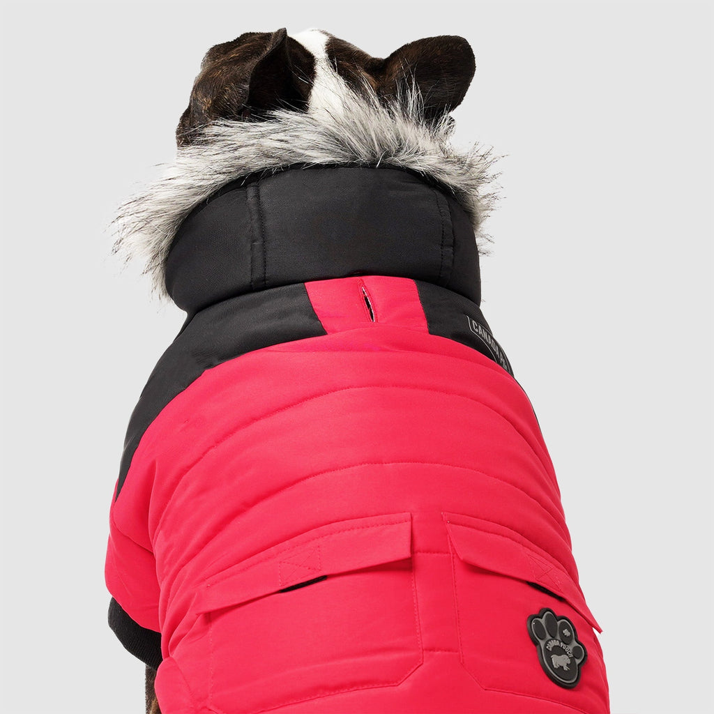 True North Parka C8