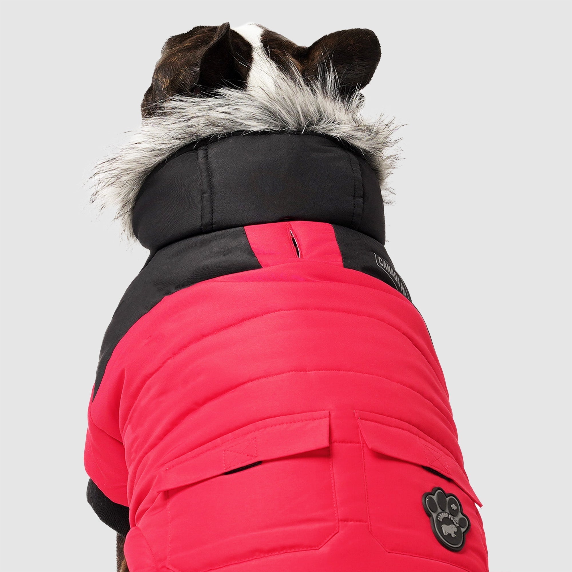 True North Parka C8