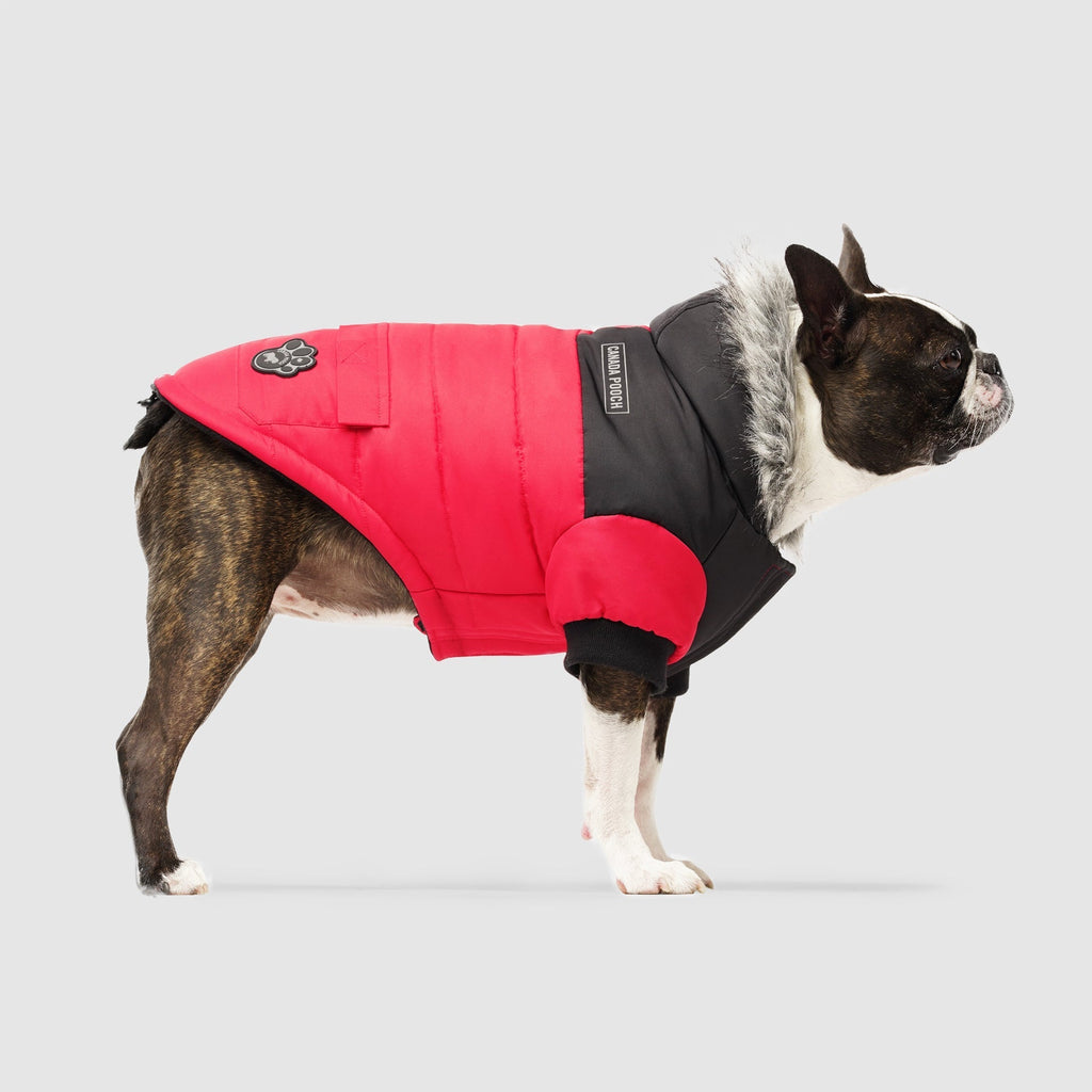 True North Parka C8