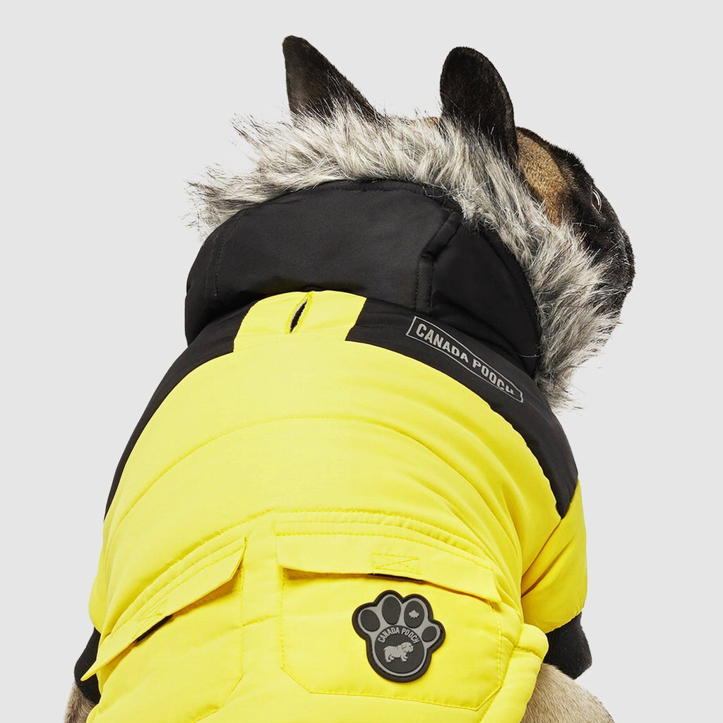 True North Parka C8