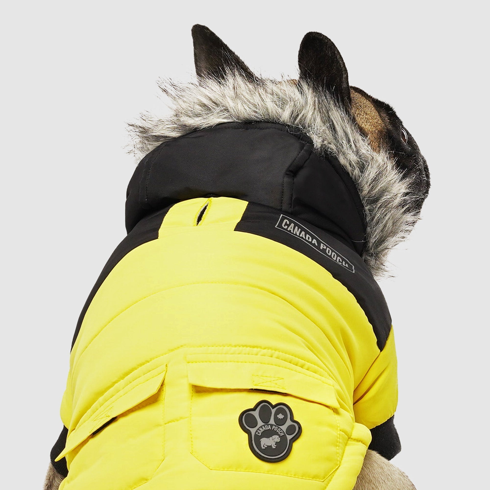 True North Parka C8