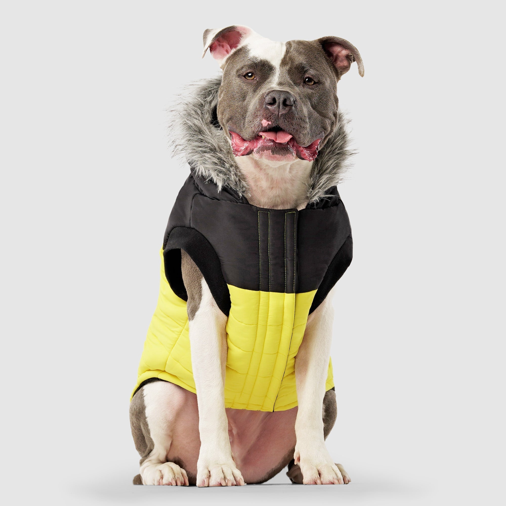 True North Parka C8