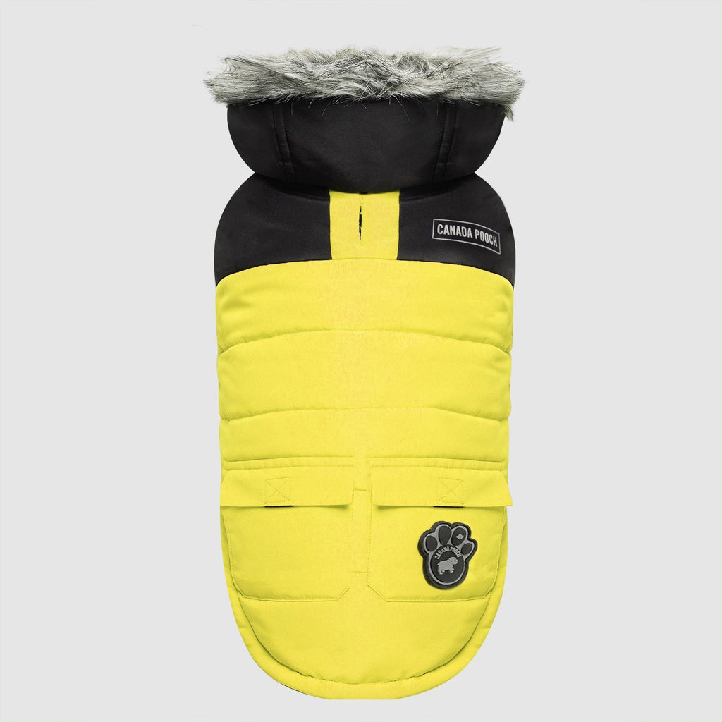 True North Parka C8