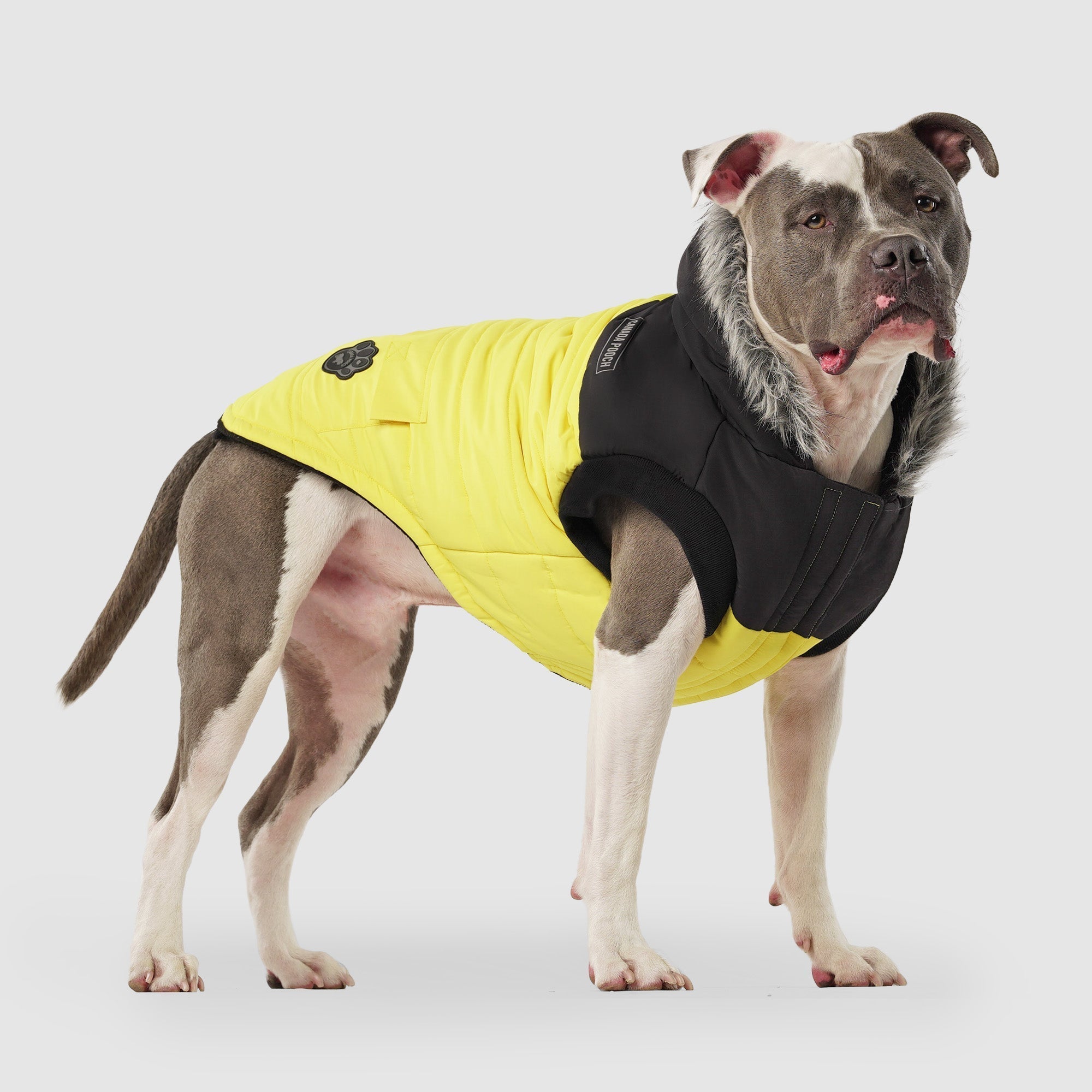 True North Parka C8