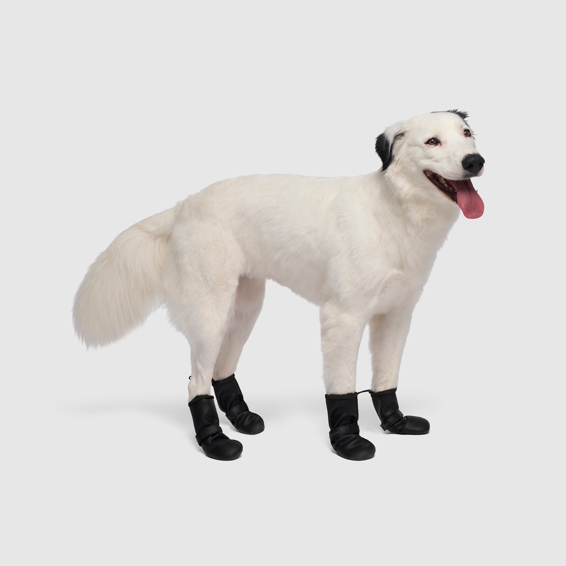 Waterproof Rain Boots K3